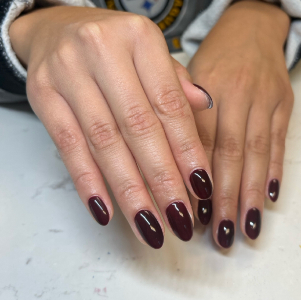 Regular Polish Manicure at Katie Young in Canfield, OH