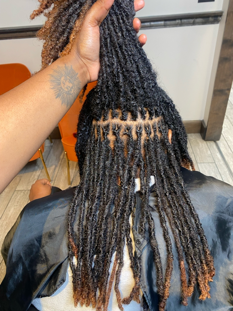 Interlocking (regular size locs)