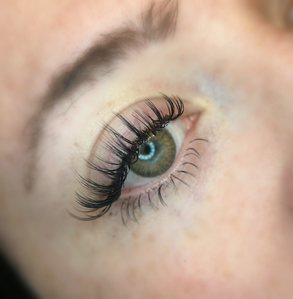 Bottom Lashes