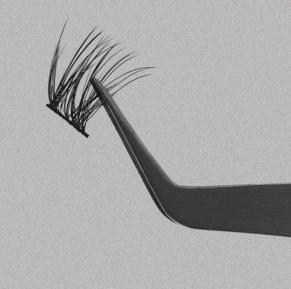 The Shorty’s Lash