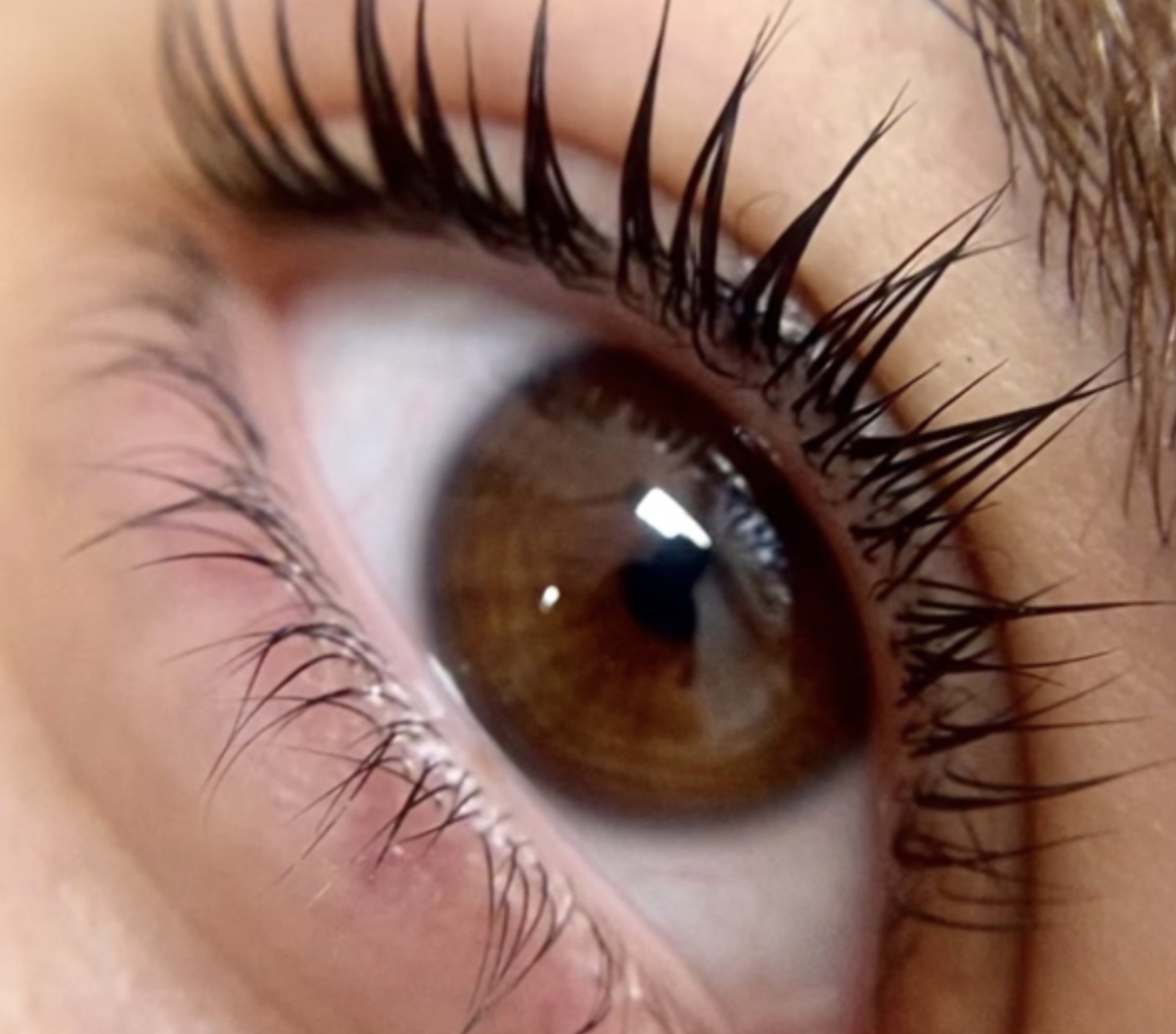LashLift Reversal