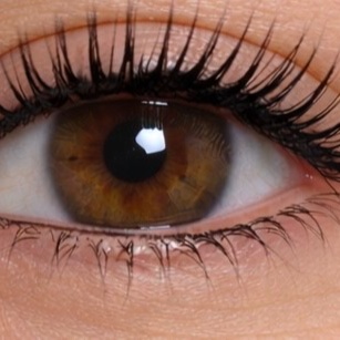 Lash/Wing Touch-Up (4–6 Wks) at Bueno Beauty by Angela in Elmwood Park, NJ