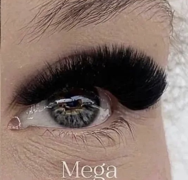 Mega Volume (15–31 days)