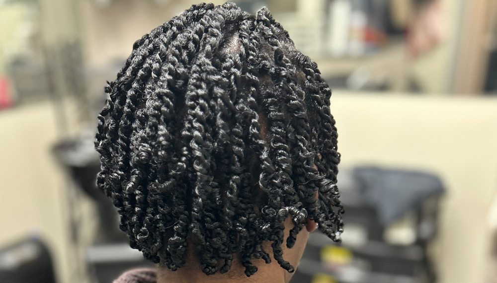 Two Strand Twist