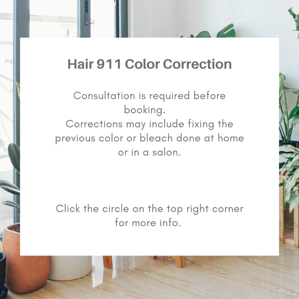 Hair 911 Color Correction $100hour