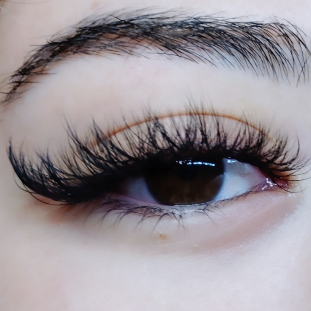 Volume Over 2-Week Fill at Noemi's Beauty Room LLC in Avondale, AZ