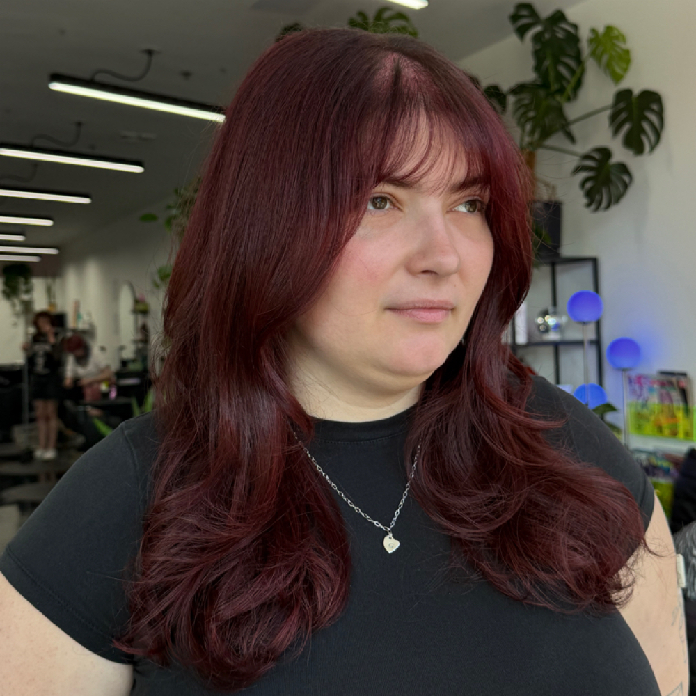 Haircut Add On at Kismet in Providence, RI
