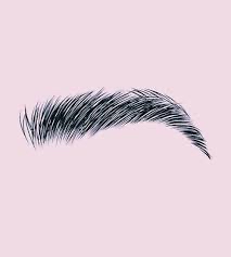 Eyebrows