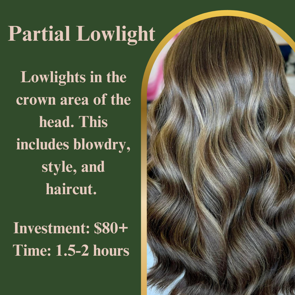 PARTIAL LOWLIGHT