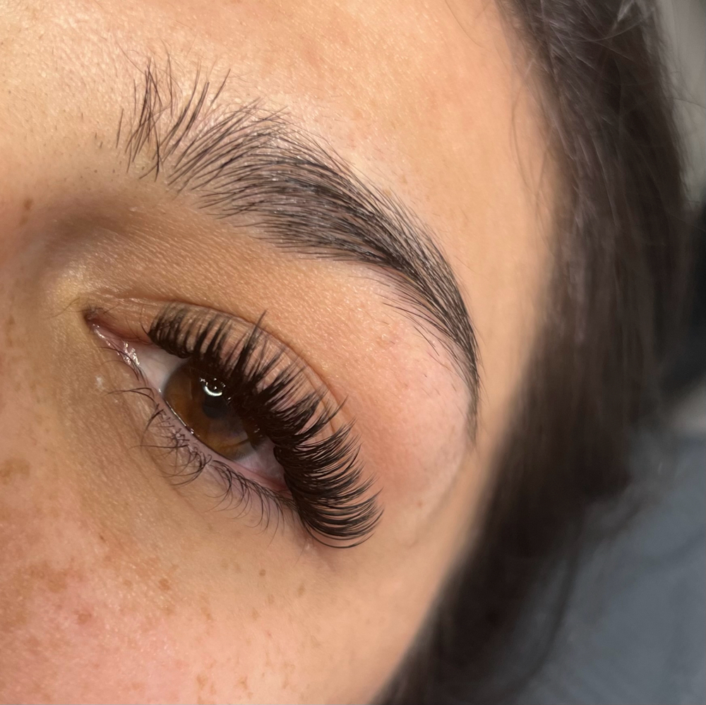 Wet Lash Full Set