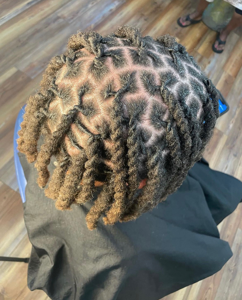 Hightop Haircut Dread Retwist