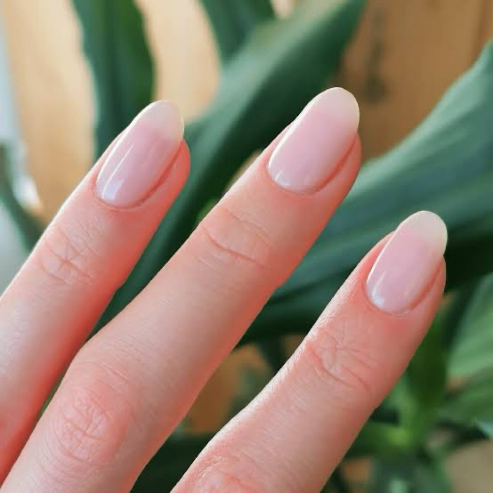 Builder Gel Overlay at The Nail Theory in Nacogdoches, TX