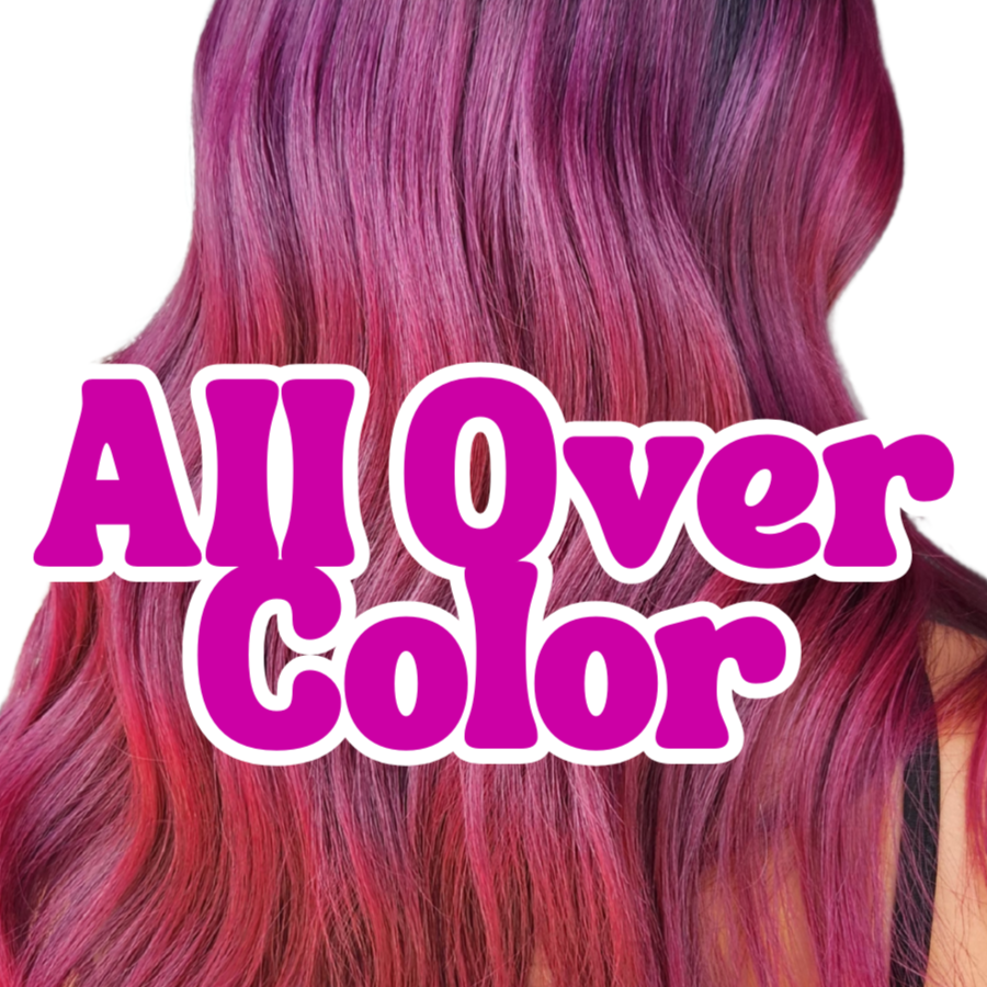 All Over Hair Color at The Fairy House in Pittsburgh, PA