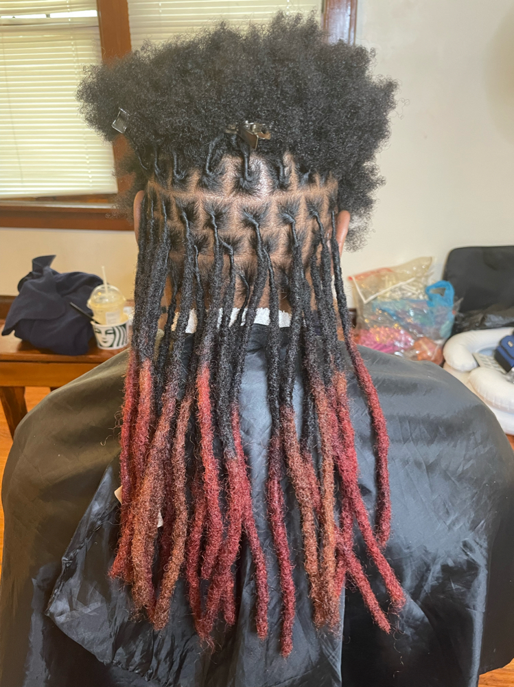 Loc Extenstions (Locs included)