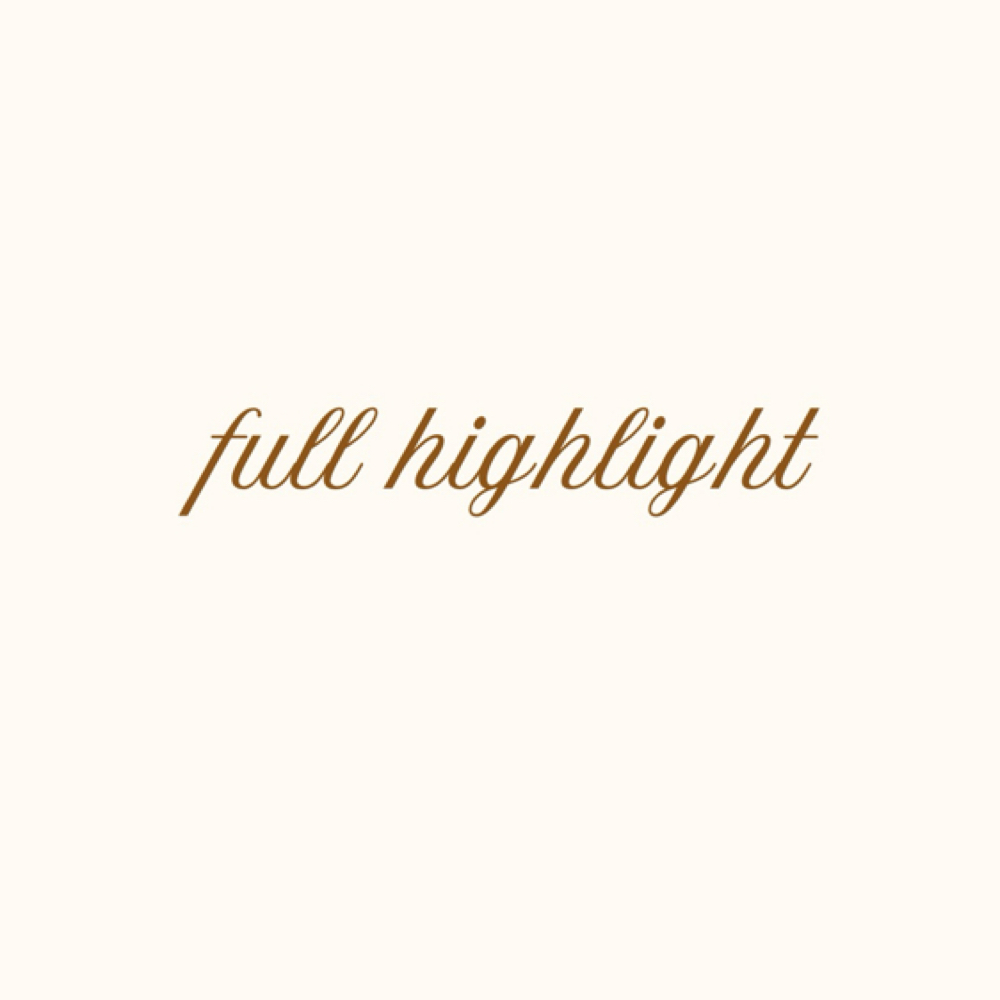 full highlight at Haley Gabriel Hair in Round Rock, TX