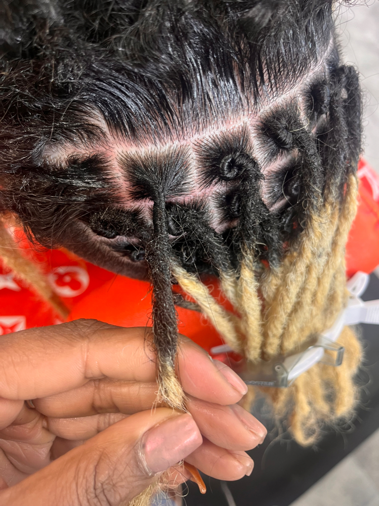 Instant Starter Locs