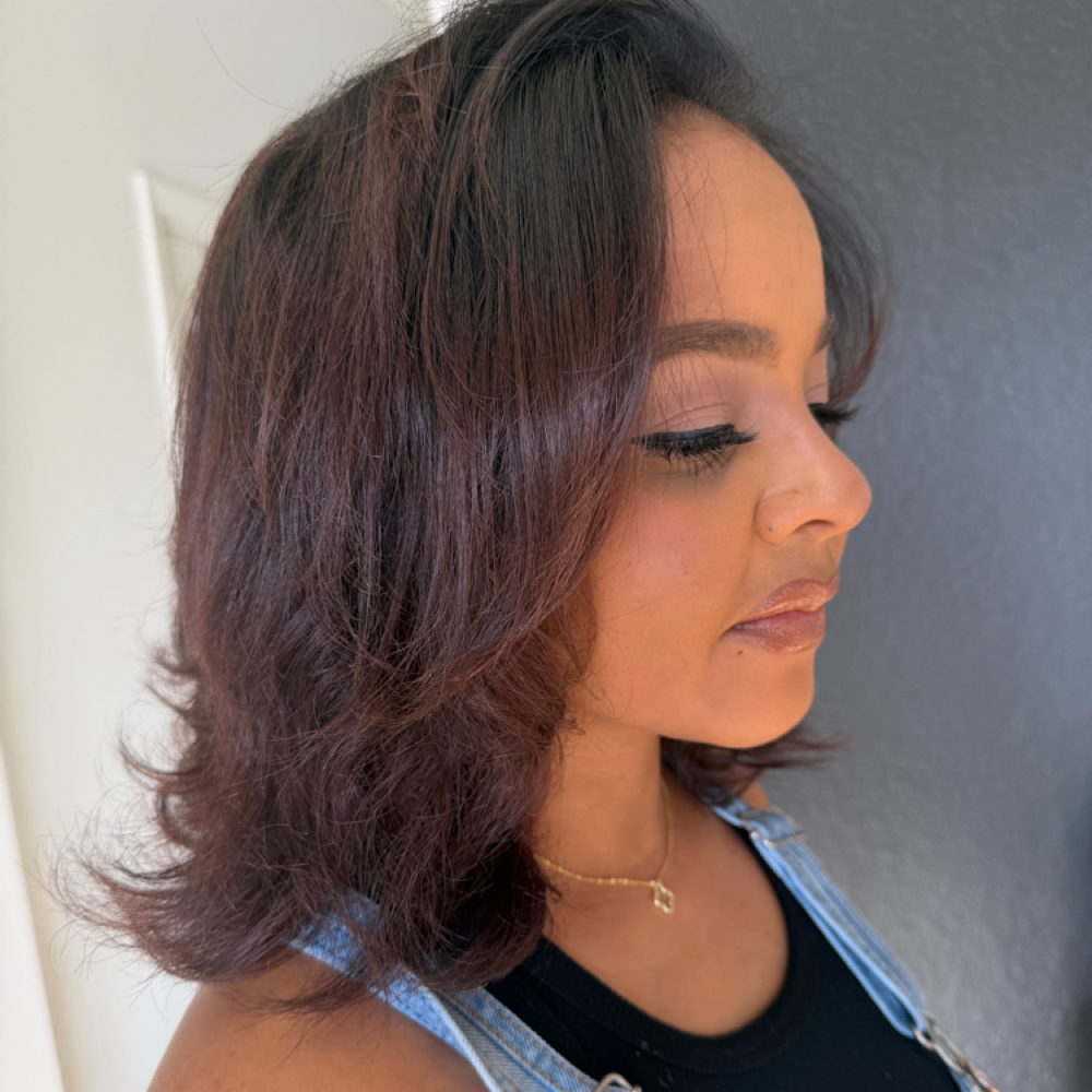 Hair Gloss w/ Blowdry at Dark Mane Studio LLC in Plant City, FL