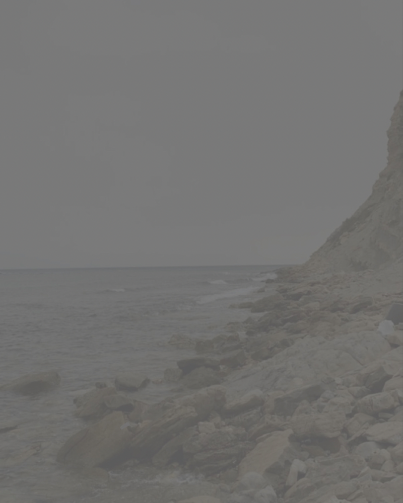 Procell Therapies MD