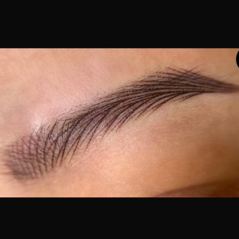 Nano Brows at Lavish Beauty By Ellen LLC in Rego Park, NY