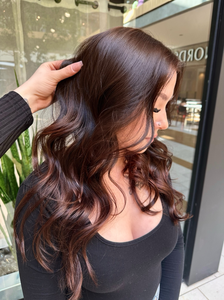All over color, root retouch, toner