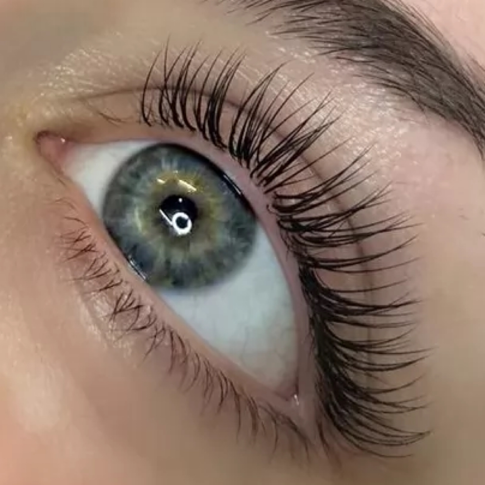 Classic Fill at Elevated Esthetics Co. in Bon Aqua, TN