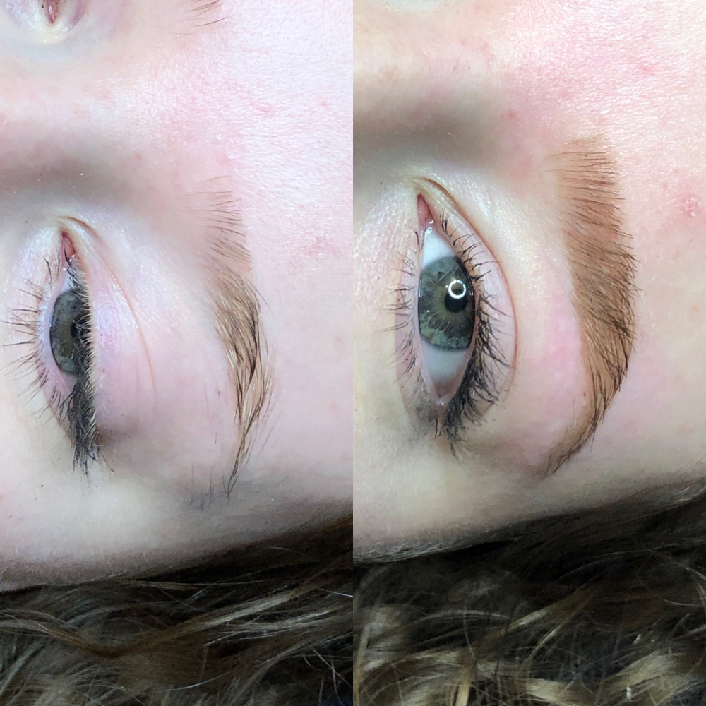 Brow Wax + Tint