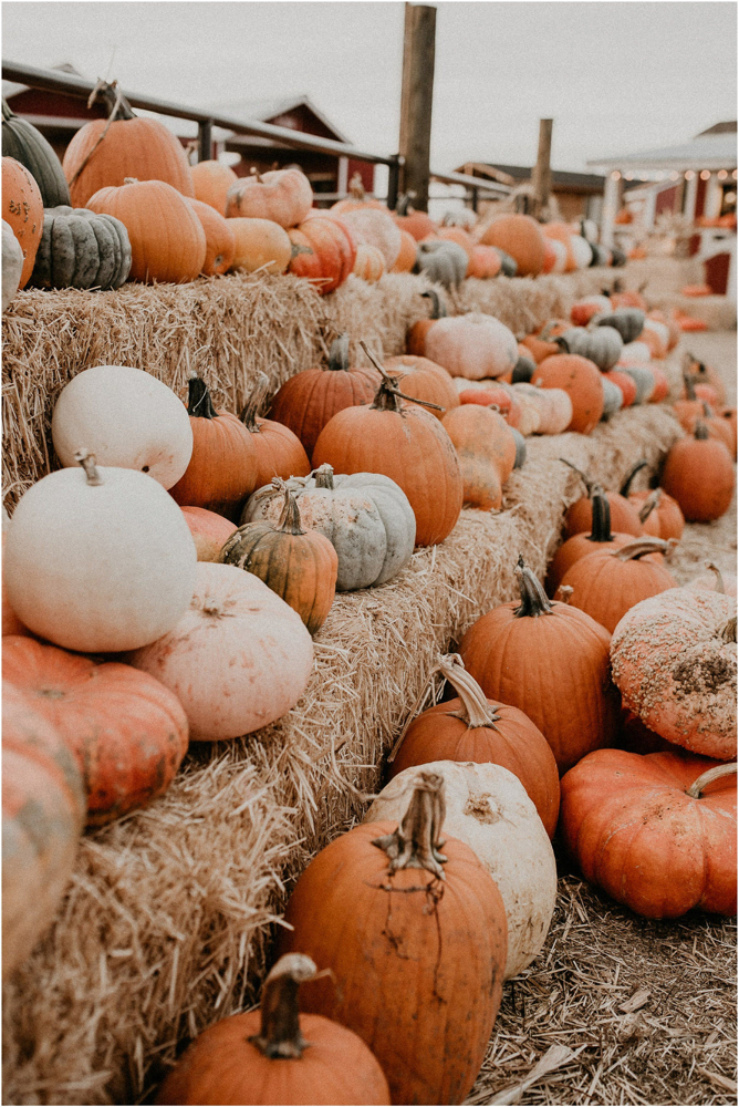 Pumpkin Marshmallow Facial