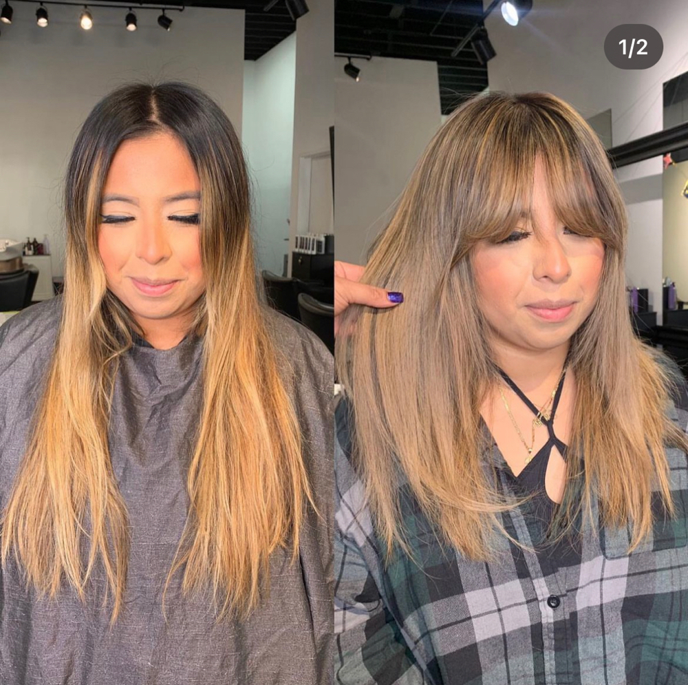 Full Touch Up Balayage-Highlight