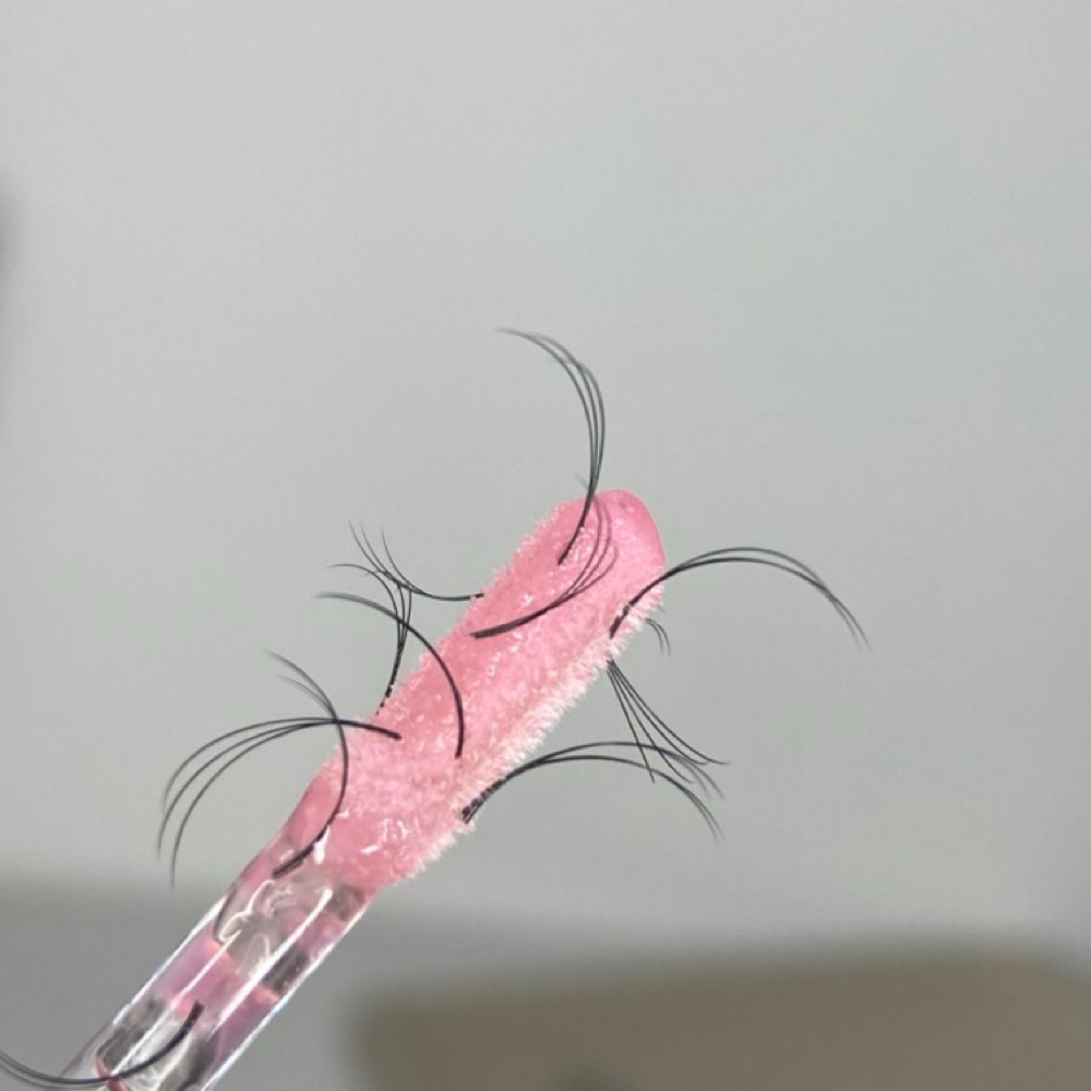 Lash Removal at MB Studio in Charlotte, NC
