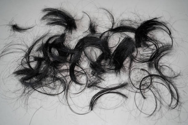 Kids Barber Cut