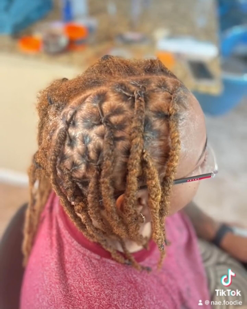Loc Retwist + 2 Strand Twist