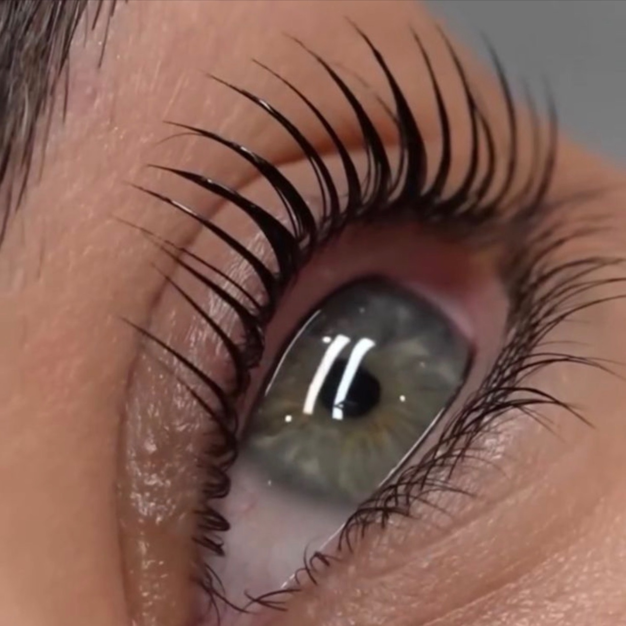 Lashes at Skin Sanctuary Co in Marietta, GA