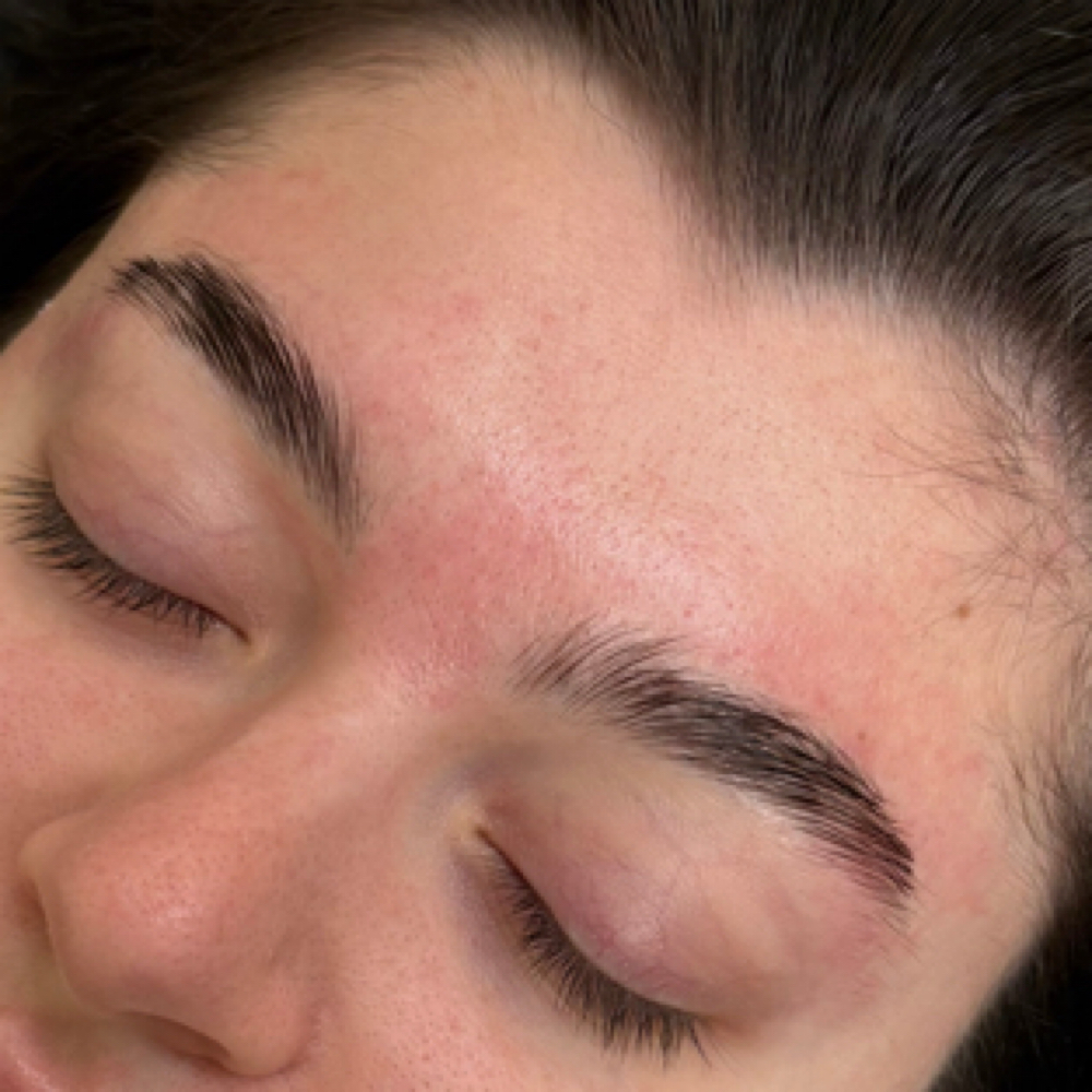Brow Tint And Lamination at THE BEAUTY LAND in Norwood, MA