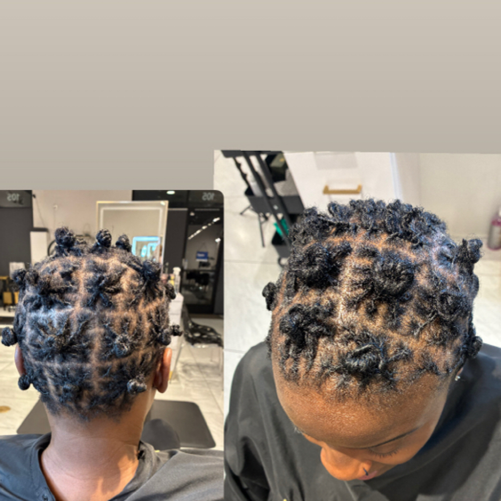 Microlock Starter Locs at EI-ECO in Las Vegas, NV