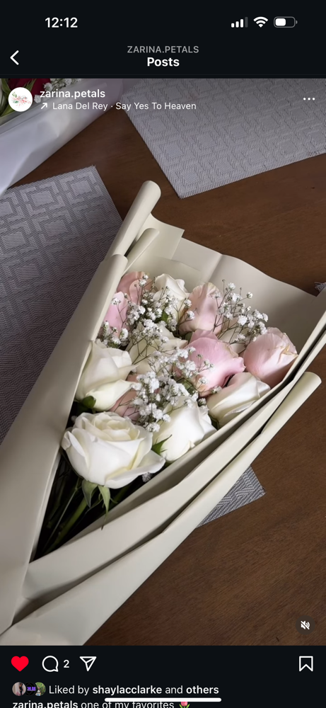 Mini Bouquet (10-12 Roses)
