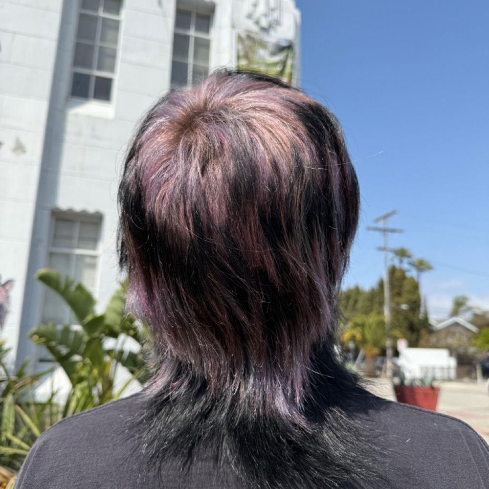 Mens Color at The Salon USC Village in Los Angeles, CA