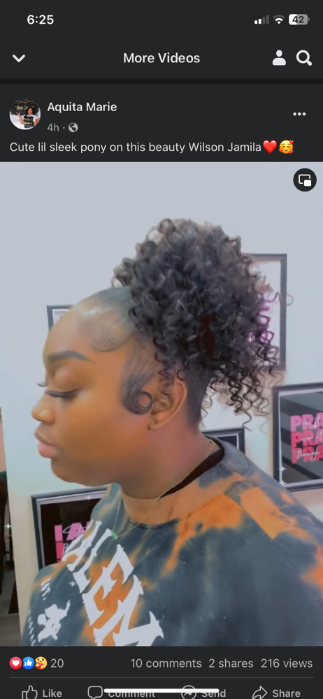 Natural Sleek Ponytail