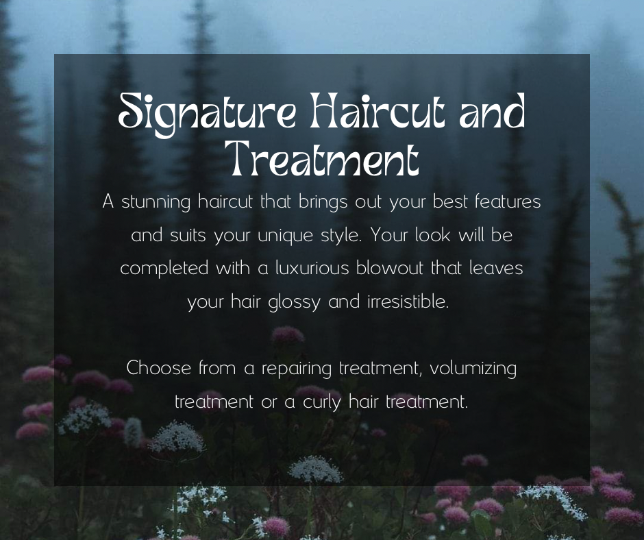 Signature Haircut & Treatment