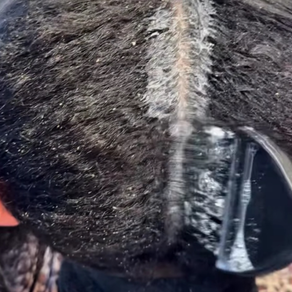 Scalp Detox at Ebonee Monae Hair Co. in Birmingham, AL