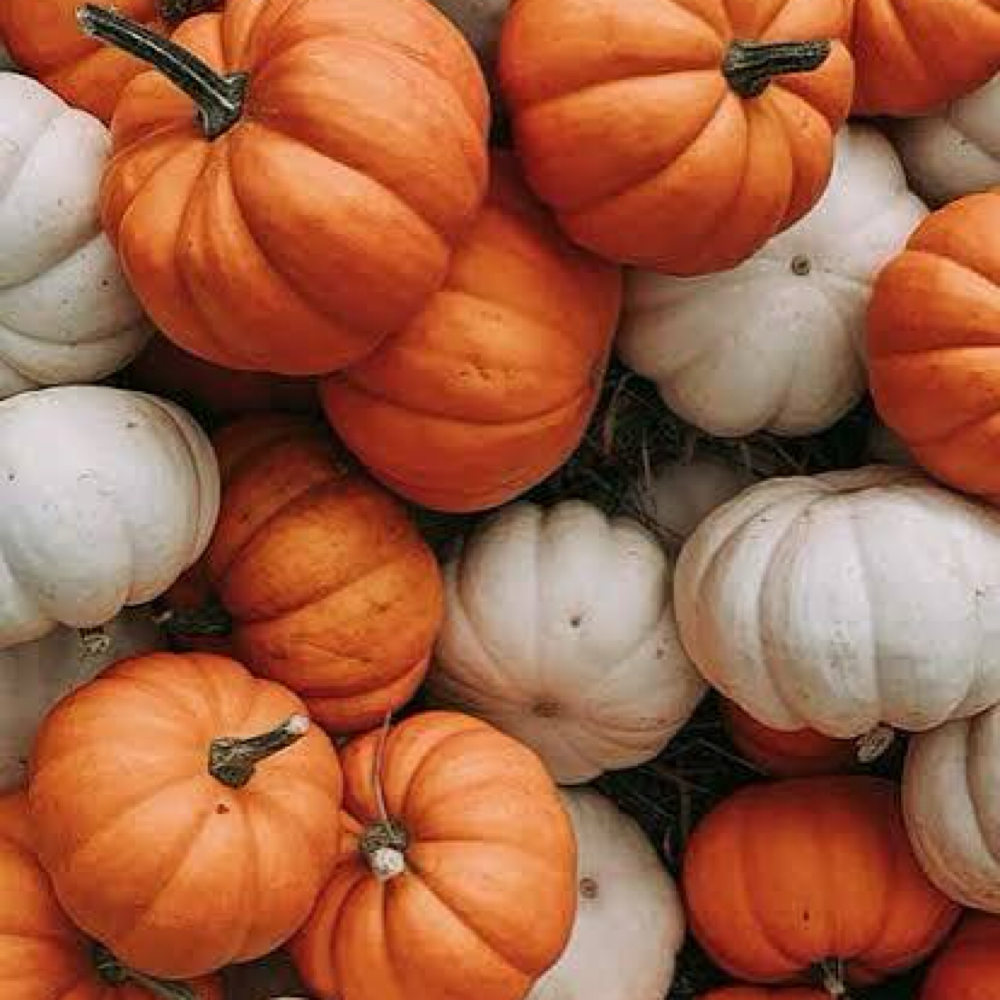 Pumpkin Spiced Facial at Luxury Aesthetics in Chattanooga, TN