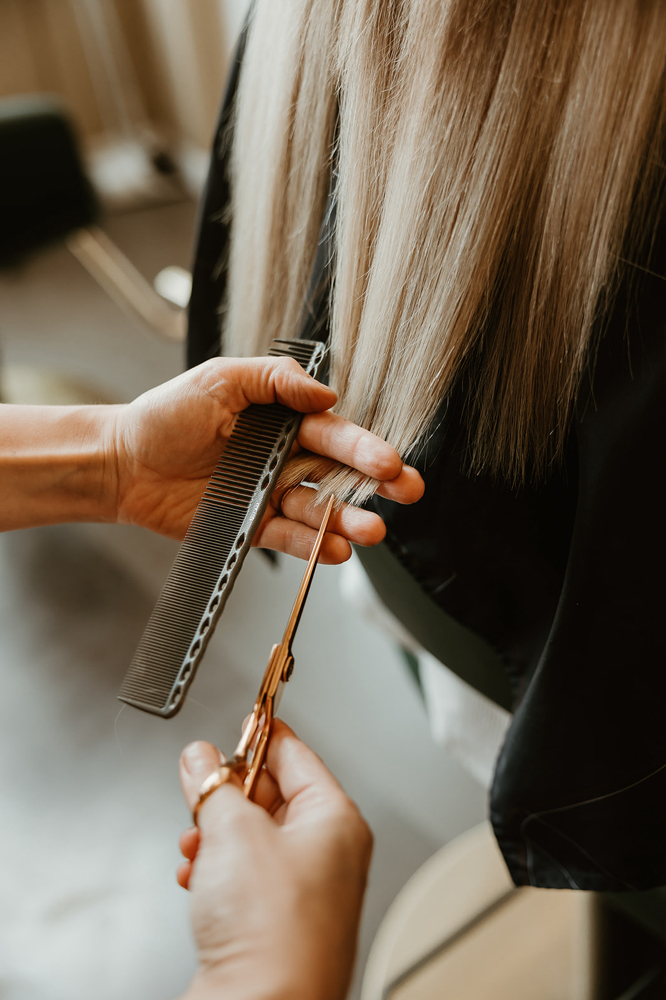 Haircut & Style (Ellery)