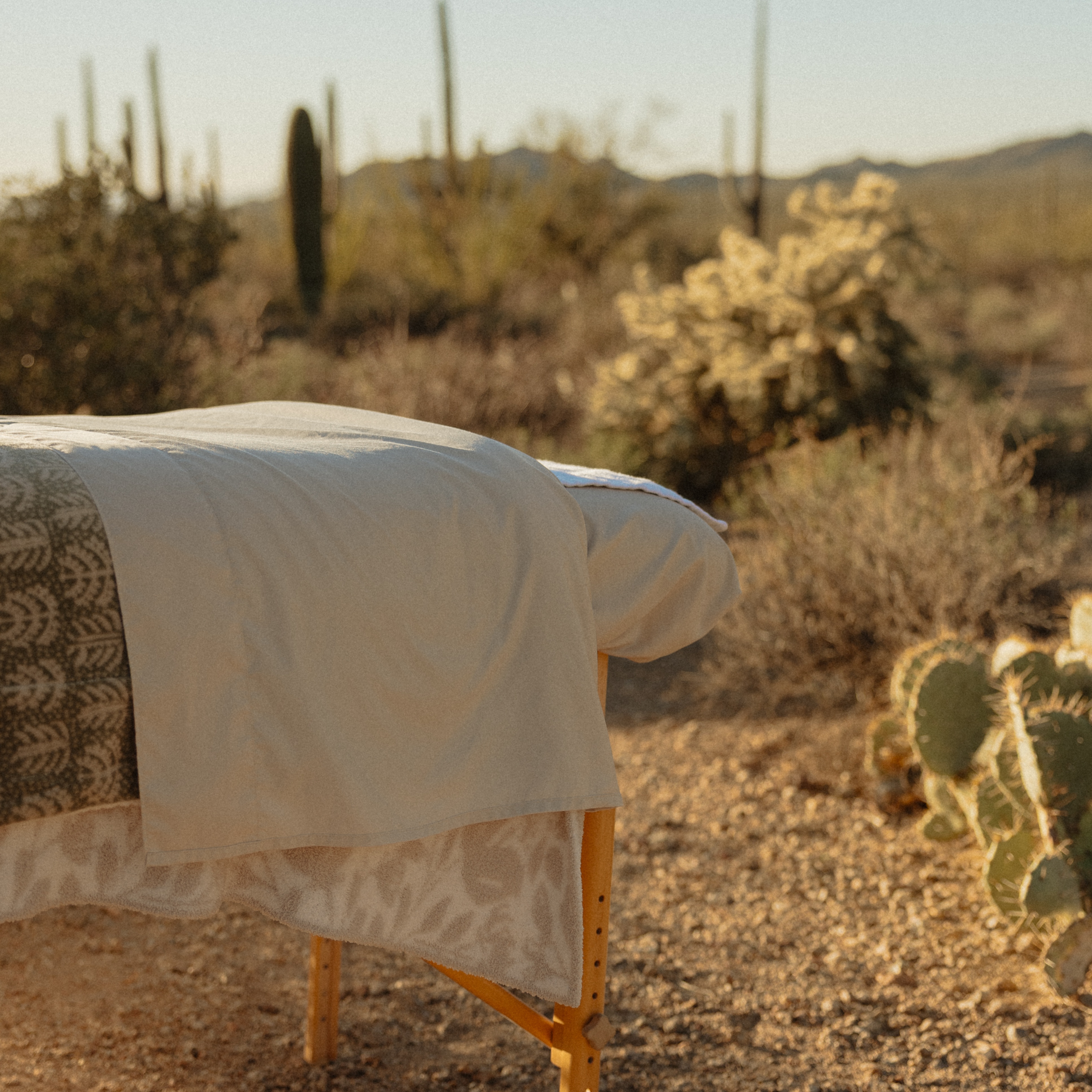 So Long, Summer: Fall Facial at Good Times Esthetics in Tucson, AZ