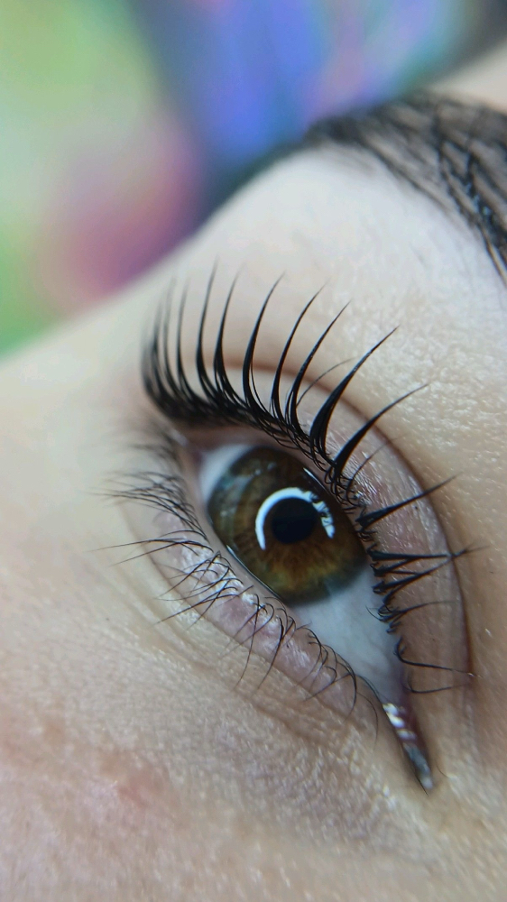 Lash Lift And Tint at B’s Beauty Lounge in College Station, TX