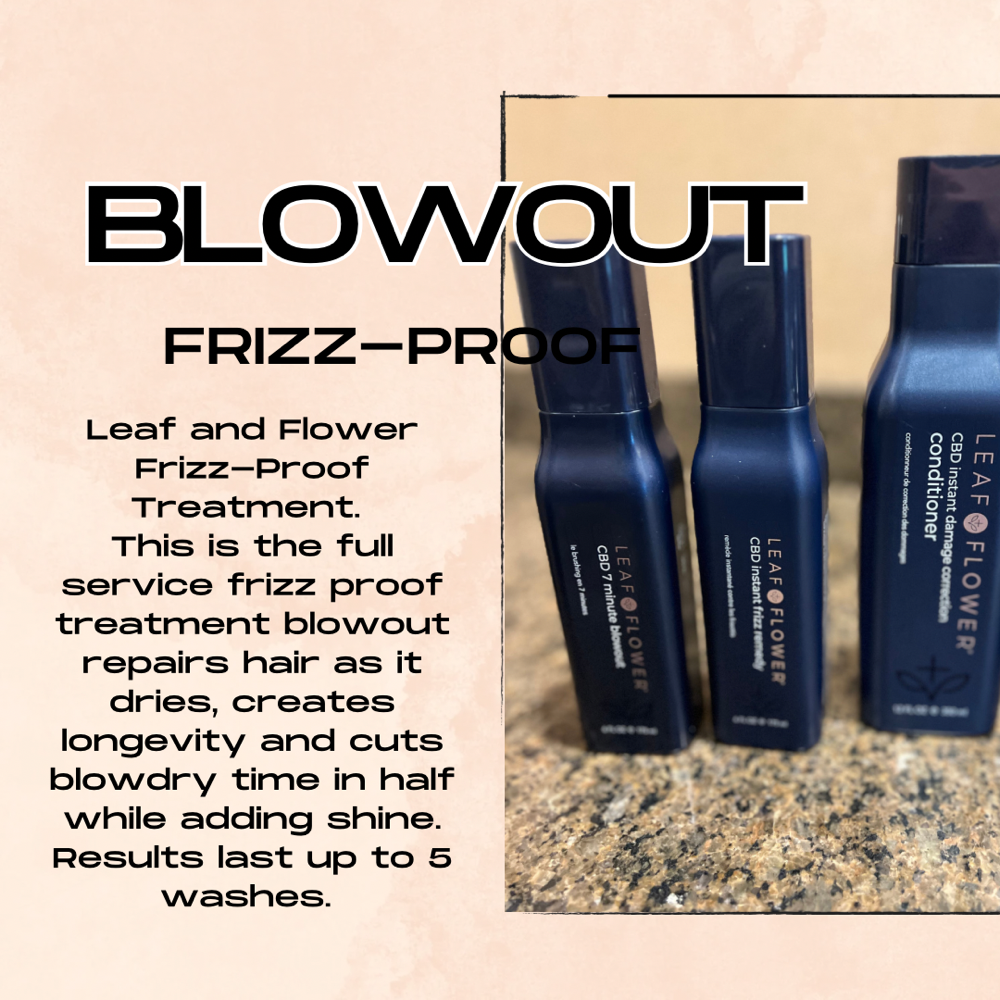 Ultimate Frizz-Proof Blowout