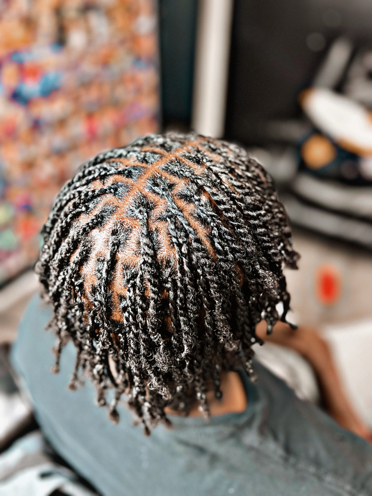 Loyalty Two Strand Twist