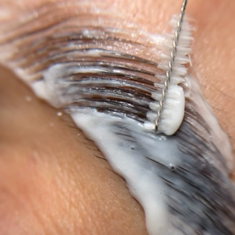 Brow Lami ✨ at The Hair & Waxing Lounge in Guymon, OK