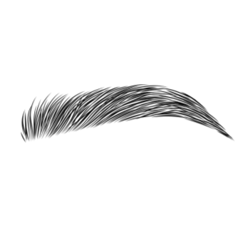 Brow Lamination at Opal Beauty + Wellness in Saint Peters, MO