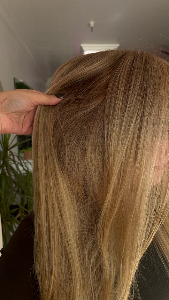 ROOT TO TIP REFRESH