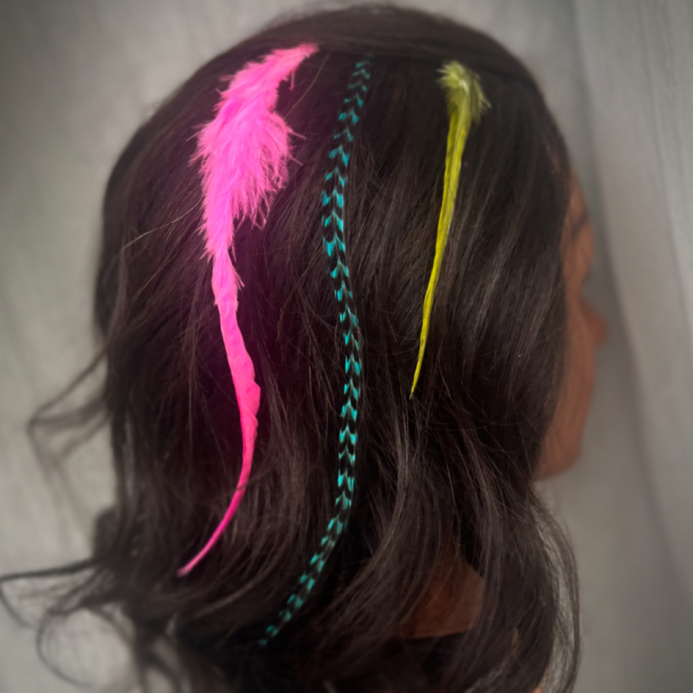 HAIR FEATHERS at Wildrose Styling Studio LLC. in Minocqua, WI