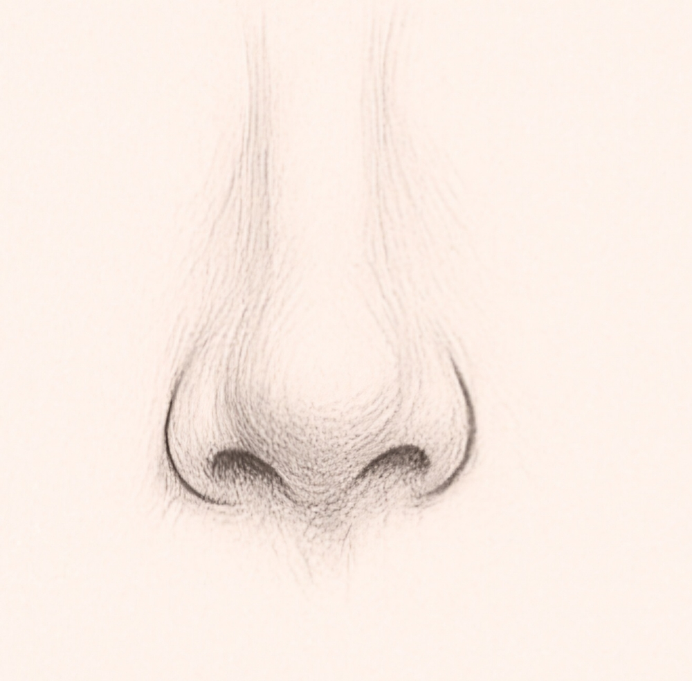 Nose